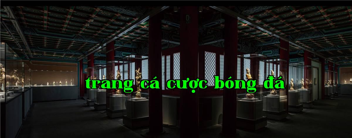 Phòng trưng bày 1 - Nghệ thuật trưng bày 1.jpg