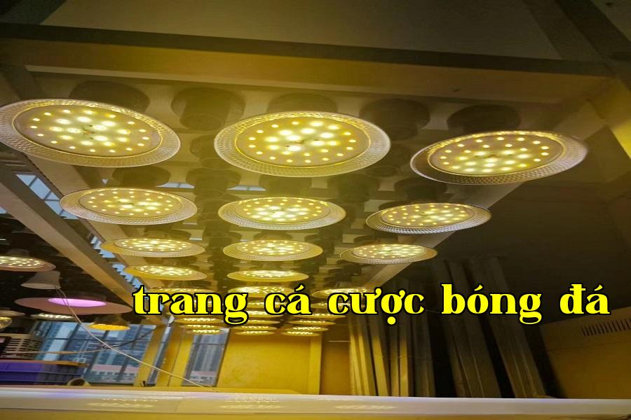 Đèn phát triển thực vật 02.jpg