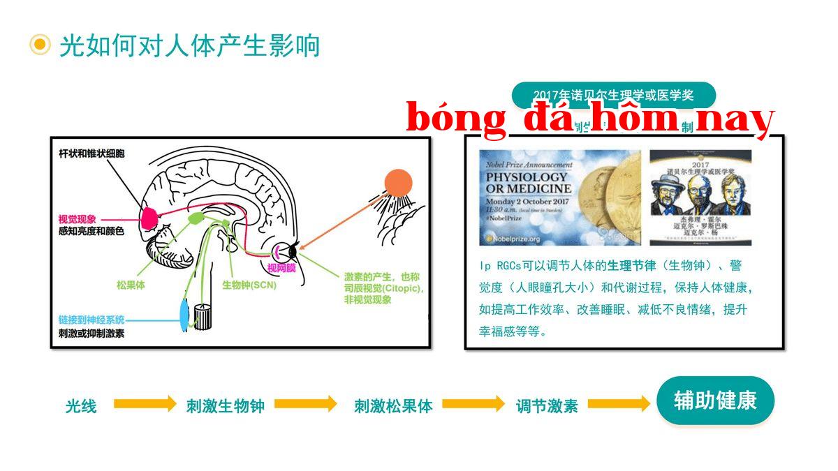 Ánh sáng ảnh hưởng đến cơ thể con người như thế nào-1.jpg