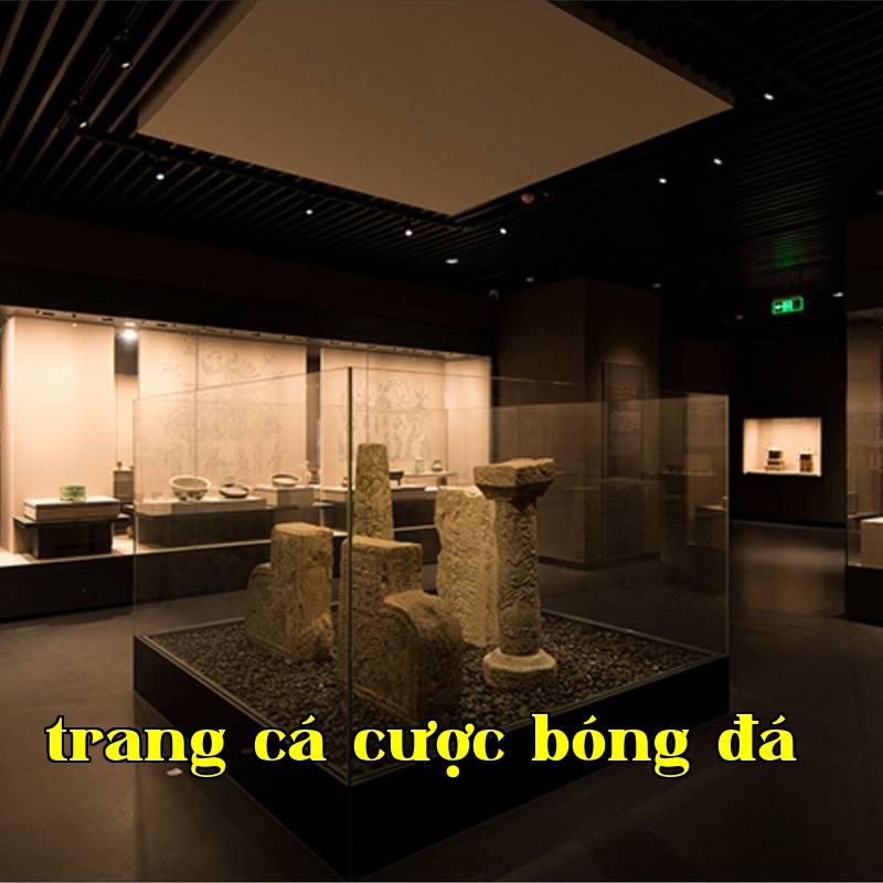 Giải pháp chiếu sáng thông minh cho triển lãm