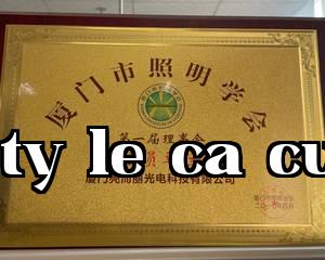 Hiệp hội Chiếu sáng Thành phố Hạ Môn.jpg