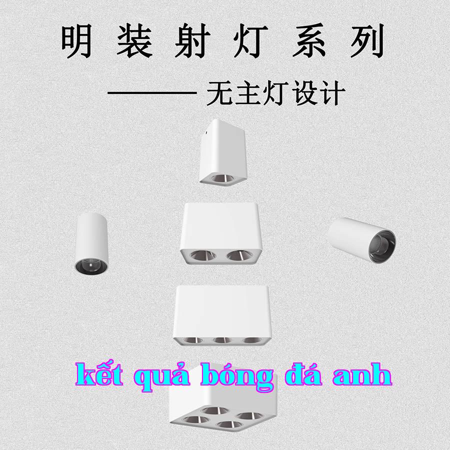 Bộ đèn rọi nổi