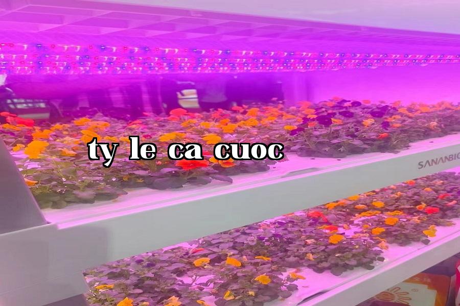 Đèn tăng trưởng cây 03.jpg