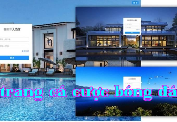 Nền tảng quản lý