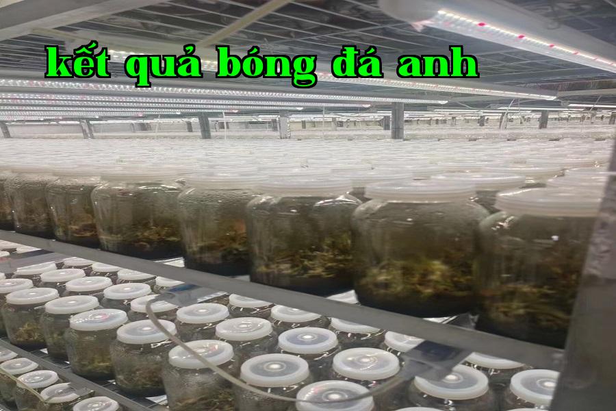 Đèn phát triển thực vật 05.jpg